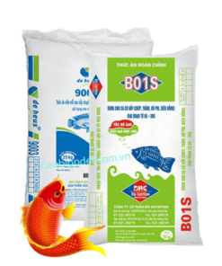 Bao Bì Thức Cho Cá