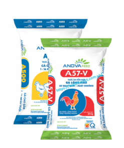 Bao Bì Thức Ăn Cho Gà